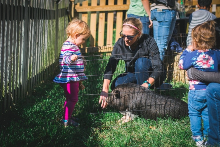 Event Session | Harper Clare Turns Two » Beholding You Photography, LLC